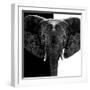 Safari Profile Collection - Elephant B&W IV-Philippe Hugonnard-Framed Photographic Print