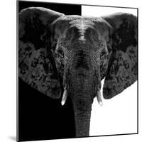 Safari Profile Collection - Elephant B&W IV-Philippe Hugonnard-Mounted Photographic Print