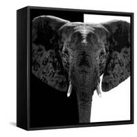Safari Profile Collection - Elephant B&W IV-Philippe Hugonnard-Framed Stretched Canvas