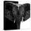 Safari Profile Collection - Elephant B&W IV-Philippe Hugonnard-Stretched Canvas