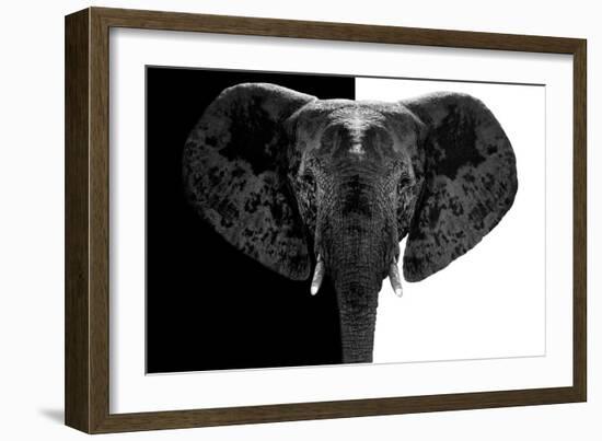 Safari Profile Collection - Elephant B&W-Philippe Hugonnard-Framed Photographic Print