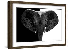 Safari Profile Collection - Elephant B&W-Philippe Hugonnard-Framed Photographic Print