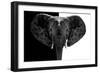 Safari Profile Collection - Elephant B&W-Philippe Hugonnard-Framed Photographic Print