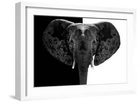 Safari Profile Collection - Elephant B&W-Philippe Hugonnard-Framed Photographic Print