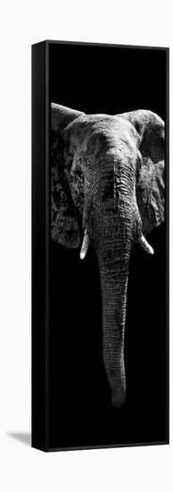 Safari Profile Collection - Elephant Black Edition II-Philippe Hugonnard-Framed Stretched Canvas