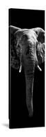 Safari Profile Collection - Elephant Black Edition II-Philippe Hugonnard-Stretched Canvas