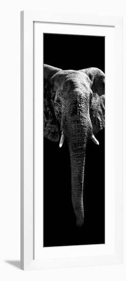 Safari Profile Collection - Elephant Black Edition II-Philippe Hugonnard-Framed Photographic Print