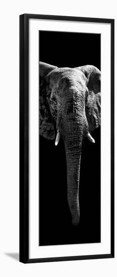 Safari Profile Collection - Elephant Black Edition II-Philippe Hugonnard-Framed Photographic Print