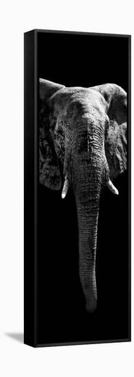 Safari Profile Collection - Elephant Black Edition II-Philippe Hugonnard-Framed Stretched Canvas