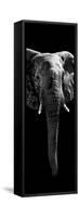 Safari Profile Collection - Elephant Black Edition II-Philippe Hugonnard-Framed Stretched Canvas