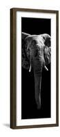 Safari Profile Collection - Elephant Black Edition II-Philippe Hugonnard-Framed Photographic Print