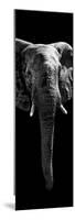 Safari Profile Collection - Elephant Black Edition II-Philippe Hugonnard-Mounted Photographic Print