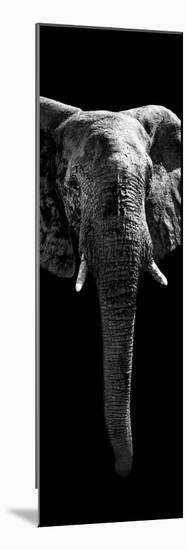 Safari Profile Collection - Elephant Black Edition II-Philippe Hugonnard-Mounted Photographic Print