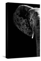 Safari Profile Collection - Elephant Black Edition III-Philippe Hugonnard-Stretched Canvas