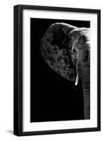 Safari Profile Collection - Elephant Black Edition III-Philippe Hugonnard-Framed Photographic Print