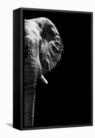 Safari Profile Collection - Elephant Black Edition IV-Philippe Hugonnard-Framed Stretched Canvas