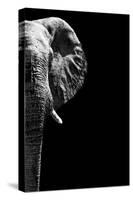 Safari Profile Collection - Elephant Black Edition IV-Philippe Hugonnard-Stretched Canvas