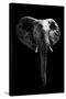 Safari Profile Collection - Elephant Black Edition-Philippe Hugonnard-Stretched Canvas