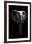 Safari Profile Collection - Elephant Black Edition-Philippe Hugonnard-Framed Photographic Print