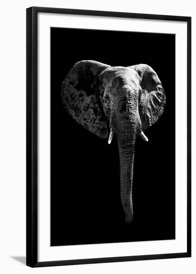 Safari Profile Collection - Elephant Black Edition-Philippe Hugonnard-Framed Photographic Print