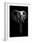 Safari Profile Collection - Elephant Black Edition-Philippe Hugonnard-Framed Premium Photographic Print