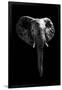 Safari Profile Collection - Elephant Black Edition-Philippe Hugonnard-Framed Photographic Print