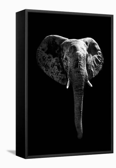 Safari Profile Collection - Elephant Black Edition-Philippe Hugonnard-Framed Stretched Canvas