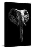 Safari Profile Collection - Elephant Black Edition-Philippe Hugonnard-Stretched Canvas