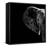 Safari Profile Collection - Elephant Portrait Black Edition II-Philippe Hugonnard-Framed Stretched Canvas