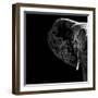 Safari Profile Collection - Elephant Portrait Black Edition II-Philippe Hugonnard-Framed Photographic Print