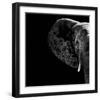 Safari Profile Collection - Elephant Portrait Black Edition II-Philippe Hugonnard-Framed Photographic Print