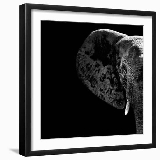 Safari Profile Collection - Elephant Portrait Black Edition II-Philippe Hugonnard-Framed Photographic Print