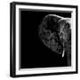 Safari Profile Collection - Elephant Portrait Black Edition II-Philippe Hugonnard-Framed Photographic Print