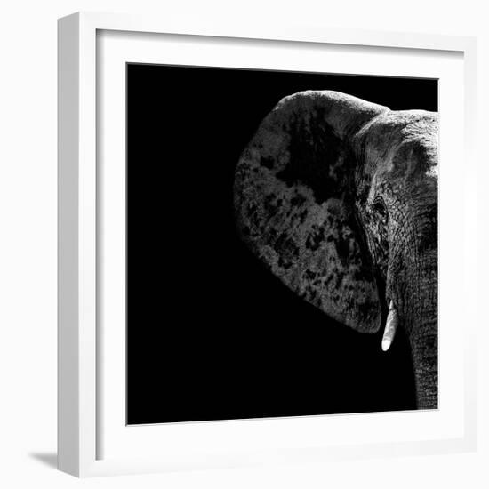 Safari Profile Collection - Elephant Portrait Black Edition II-Philippe Hugonnard-Framed Photographic Print