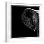 Safari Profile Collection - Elephant Portrait Black Edition II-Philippe Hugonnard-Framed Photographic Print