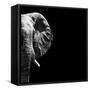 Safari Profile Collection - Elephant Portrait Black Edition III-Philippe Hugonnard-Framed Stretched Canvas