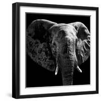 Safari Profile Collection - Elephant Portrait Black Edition IV-Philippe Hugonnard-Framed Photographic Print