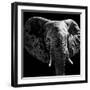 Safari Profile Collection - Elephant Portrait Black Edition IV-Philippe Hugonnard-Framed Photographic Print