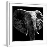Safari Profile Collection - Elephant Portrait Black Edition IV-Philippe Hugonnard-Framed Photographic Print