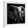 Safari Profile Collection - Elephant Portrait Black Edition IV-Philippe Hugonnard-Framed Photographic Print