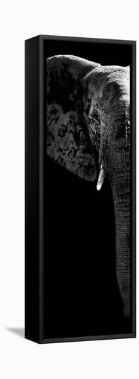 Safari Profile Collection - Elephant Portrait Black Edition V-Philippe Hugonnard-Framed Stretched Canvas