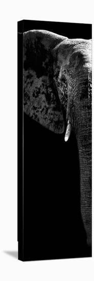 Safari Profile Collection - Elephant Portrait Black Edition V-Philippe Hugonnard-Stretched Canvas