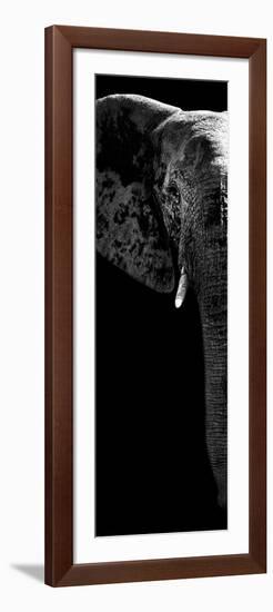 Safari Profile Collection - Elephant Portrait Black Edition V-Philippe Hugonnard-Framed Photographic Print