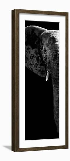 Safari Profile Collection - Elephant Portrait Black Edition V-Philippe Hugonnard-Framed Photographic Print