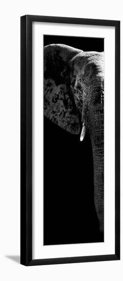 Safari Profile Collection - Elephant Portrait Black Edition V-Philippe Hugonnard-Framed Photographic Print