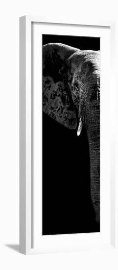 Safari Profile Collection - Elephant Portrait Black Edition V-Philippe Hugonnard-Framed Photographic Print