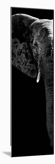 Safari Profile Collection - Elephant Portrait Black Edition V-Philippe Hugonnard-Mounted Photographic Print