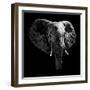 Safari Profile Collection - Elephant Portrait Black Edition-Philippe Hugonnard-Framed Photographic Print