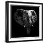 Safari Profile Collection - Elephant Portrait Black Edition-Philippe Hugonnard-Framed Photographic Print