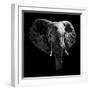 Safari Profile Collection - Elephant Portrait Black Edition-Philippe Hugonnard-Framed Photographic Print